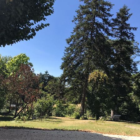 בלריב-סור-אלייה Charmant F1 Avec Terrasse Et Vue Sur Jardin Arbore - Fraicheur Naturelle Du Rez De Jardin - Parking מראה חיצוני תמונה