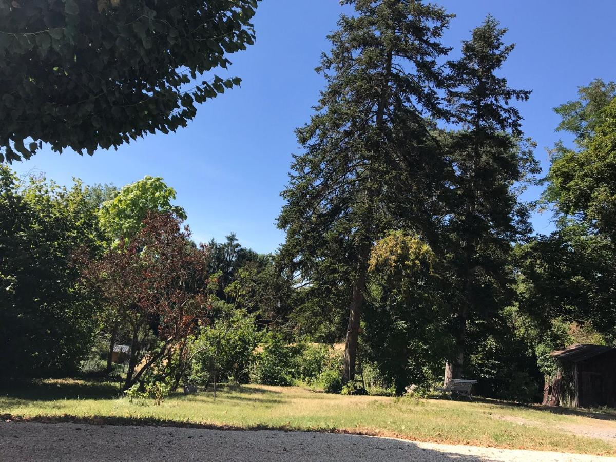 בלריב-סור-אלייה Charmant F1 Avec Terrasse Et Vue Sur Jardin Arbore - Fraicheur Naturelle Du Rez De Jardin - Parking מראה חיצוני תמונה